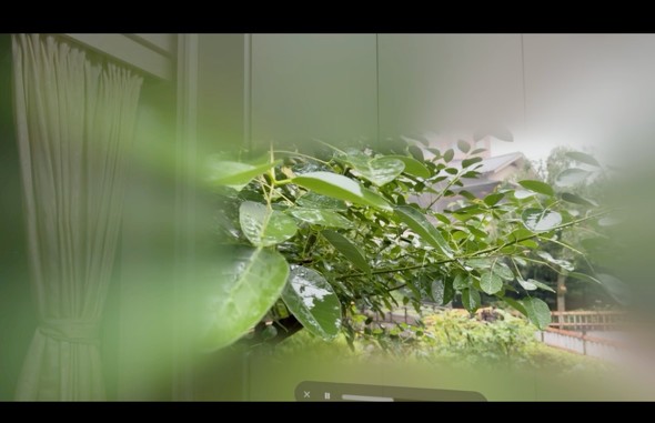 VisionPro Apple  S[O