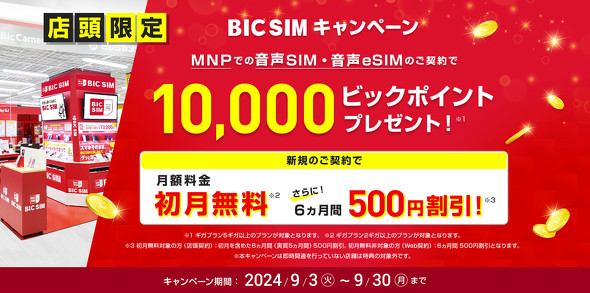 BIC SIM