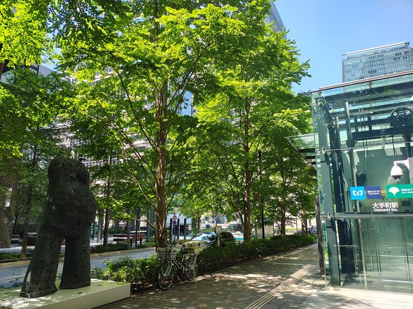 motorola edge 50s pro