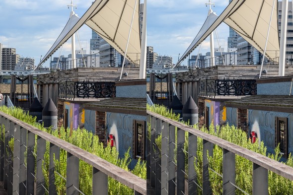 Google ܂肽݃X}z Pixel9ProFold