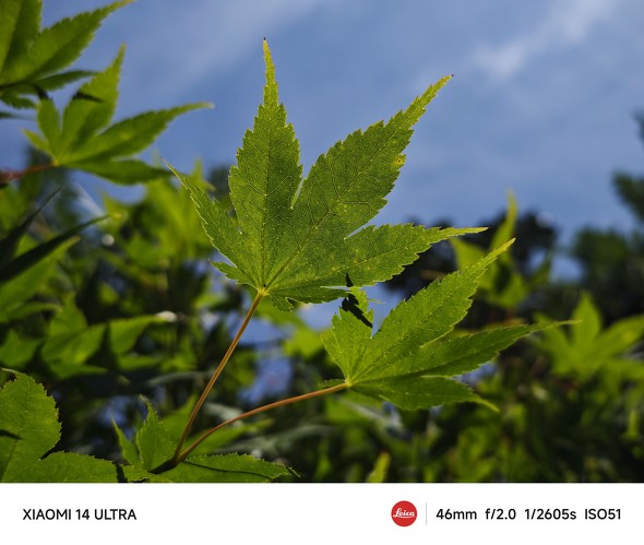 Xiaomi 14 UltraAQUOS R9r