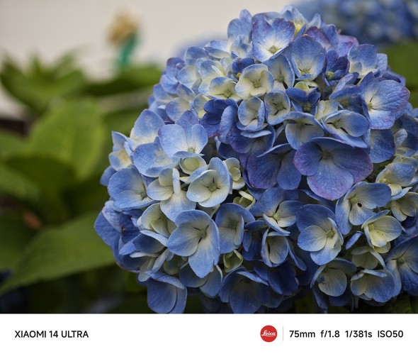 Xiaomi 14 UltraAQUOS R9r