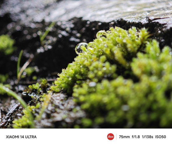 Xiaomi 14 UltraAQUOS R9r