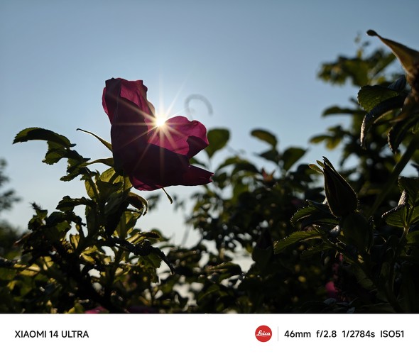 Xiaomi 14 UltraAQUOS R9r