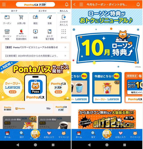 PontapX