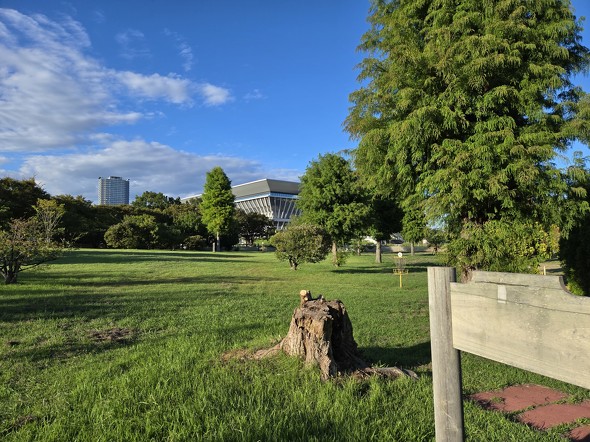 Galaxy Z Flip6motorola razr 50s