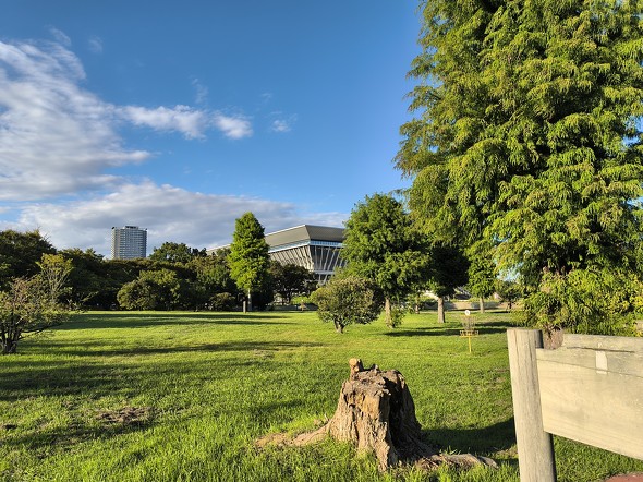 Galaxy Z Flip6motorola razr 50s