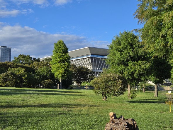 Galaxy Z Flip6motorola razr 50s