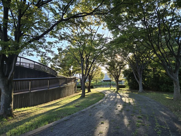 Galaxy Z Flip6motorola razr 50s