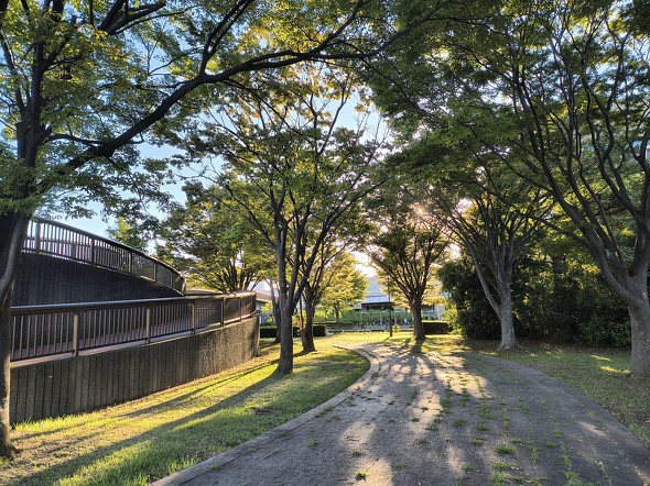 Galaxy Z Flip6motorola razr 50s