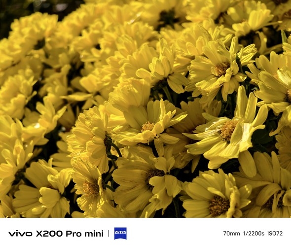 vivoX200Promini iPhone J ^X}z