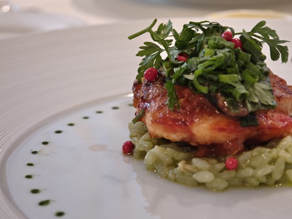 AQUOS R9 pro��Xiaomi 14T Ultra�̔�r