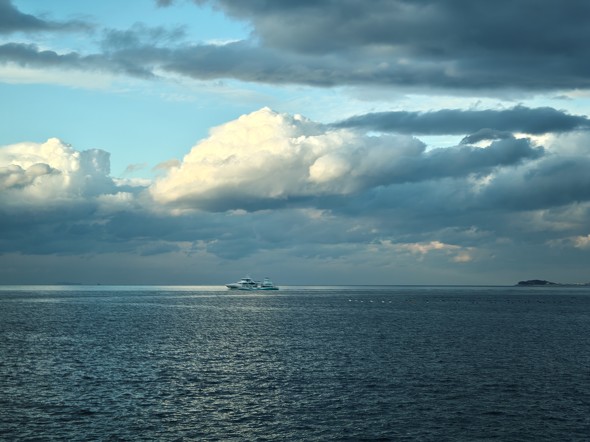 AQUOS R9 pro��Xiaomi 14T Ultra�̔�r