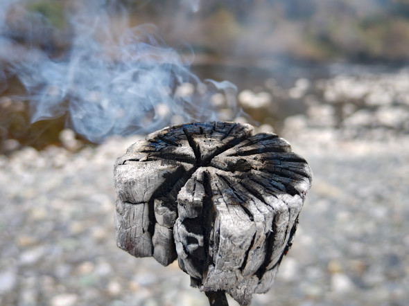 AQUOS R9 pro��Xiaomi 14T Ultra�̔�r