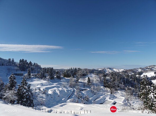 Xiaomi 14 UltraAQUOS R9 pror