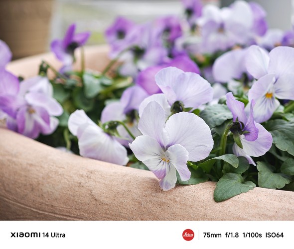 Xiaomi 14 UltraAQUOS R9 pror