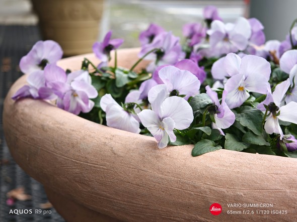 Xiaomi 14 UltraAQUOS R9 pror