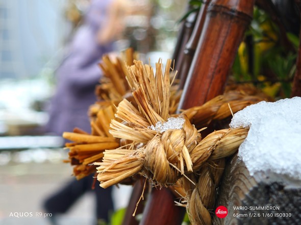 Xiaomi 14 UltraAQUOS R9 pror