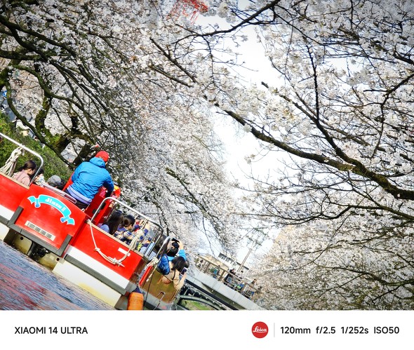 Xiaomi 14 UltraAQUOS R9 pror