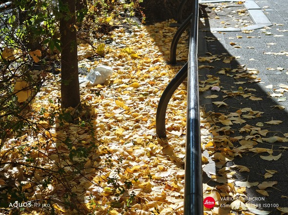 Xiaomi 14 UltraAQUOS R9 pror