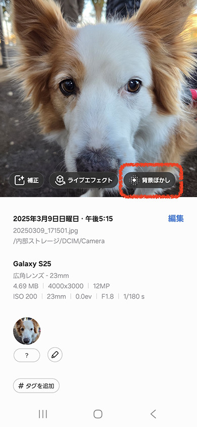Galaxy S25r[