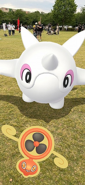 Pokemon GO Fest 2025