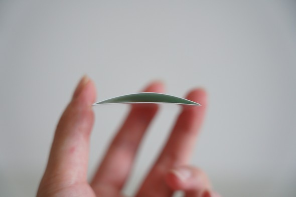 Xiaomi |[^utHgv^[ 1S