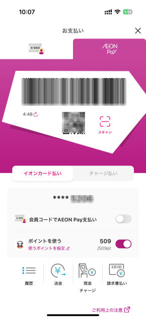 AEON Pay