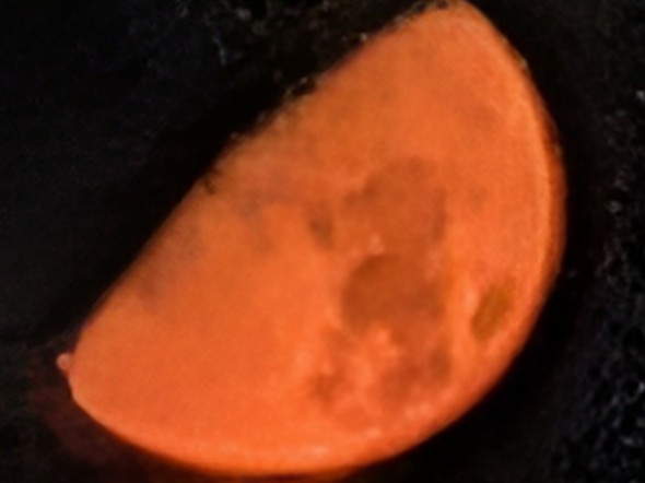 Pixel10 Pro Google Pixel sNZ O[O X}z 