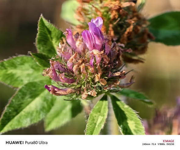 HUAWEI Pura 80 Ultra