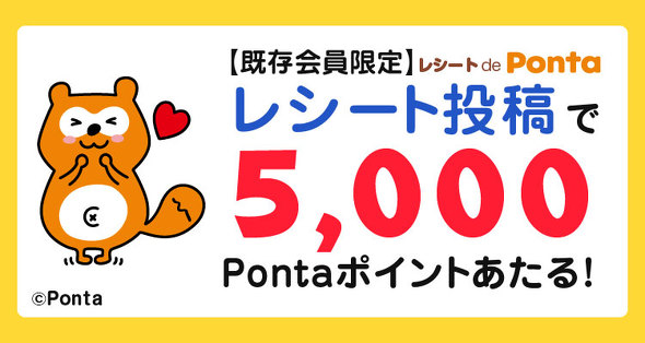 au PAYキャンペーン