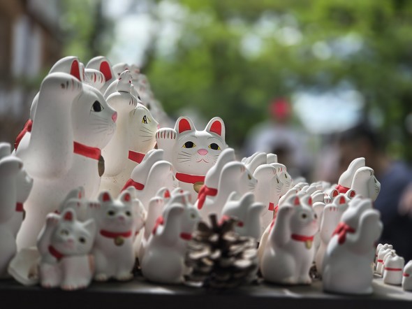 3x望遠で招き猫