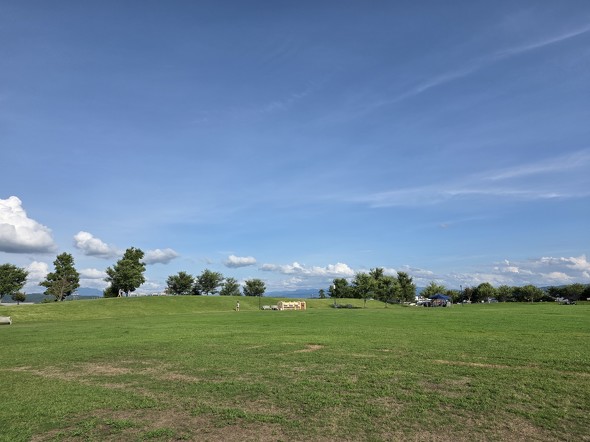 Galaxy Z Fold7とOPPO Find N5