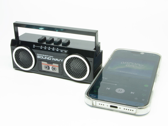 �_�C�\�[1100�~�X�s�[�J�[