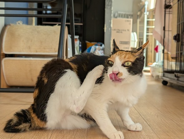 �B���Ă݂�