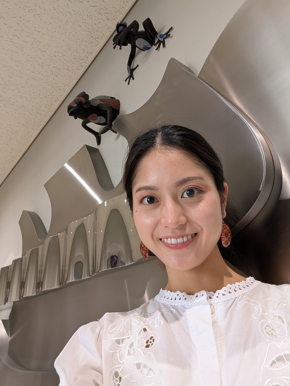 �C���J����