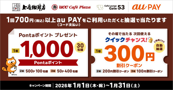 au PAY�L�����y�[��