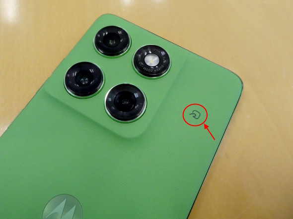 ���{�������f��