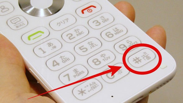 ALTJAPAN MIVE�P�[�X�}