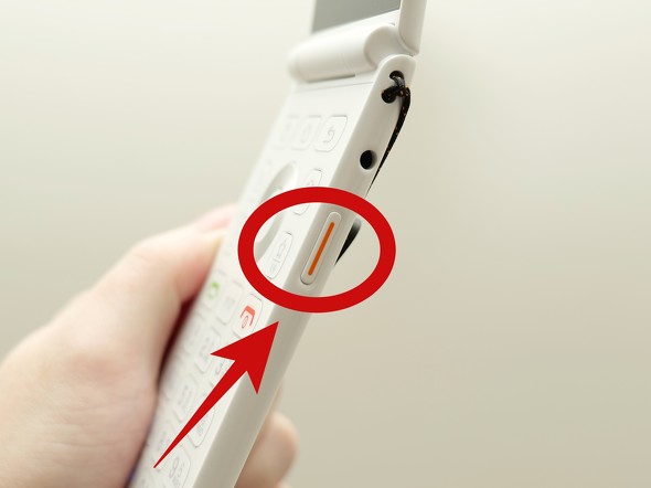 ALTJAPAN MIVE�P�[�X�}