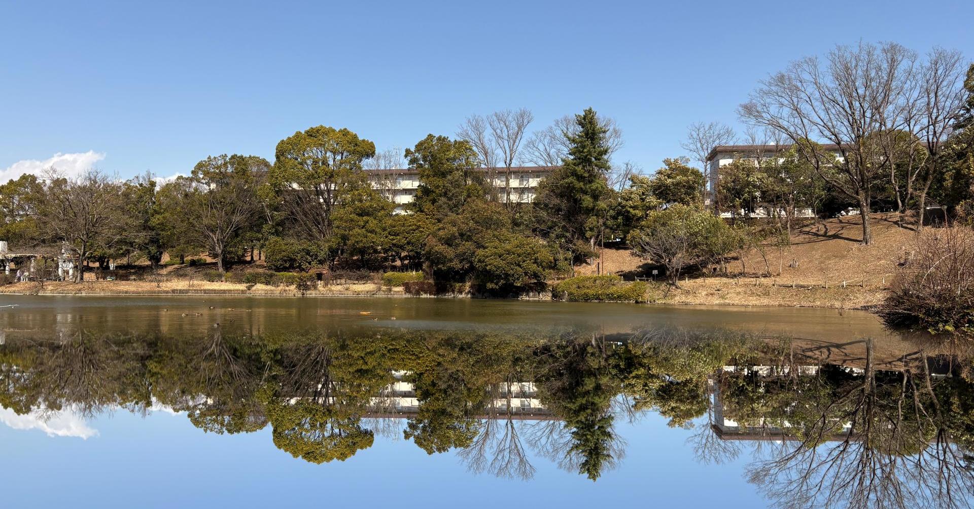 どこでもウユニ塩湖？　3COINSで550円の「スマホ用反射ミラークリップ」を試す