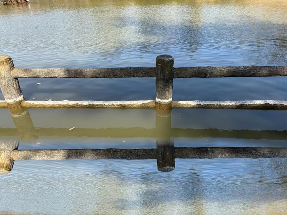 ��O�ɂ��L����