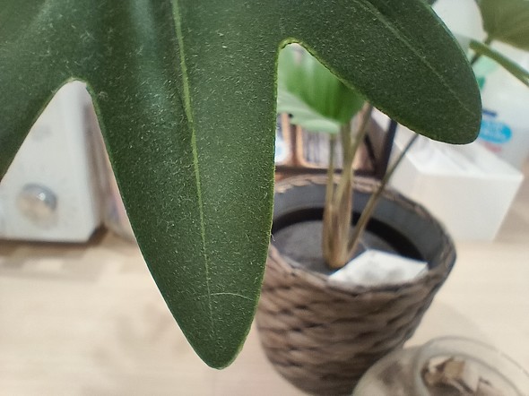 Nothing Phone (3a) Lite