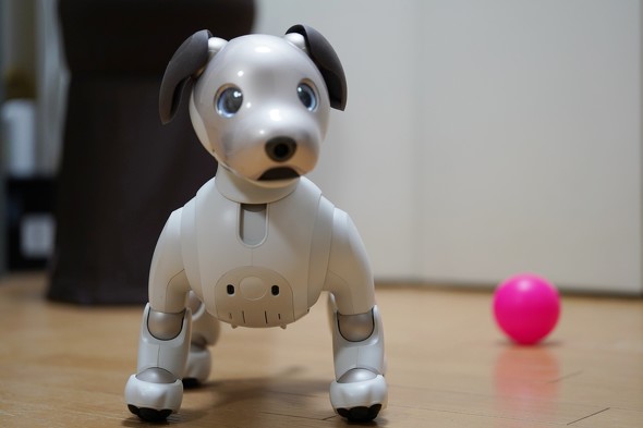 aibo �\�j�[ �A�C�{ SONY ERS-1000 �G���^�e�C�������g���{�b�g �����^ aibo�琬 �y�b�g���{�b�g ���� �ӂꂠ�� �Z���T�[ �J���� AI �N���E�h AIBO ���� ���b�e �A�{ �������[�X�e�B�b�N ���� ���� �Ƒ� ���{�b�g�� �U�� �ӂ�܂� �� �A�C�{�[�� ���� ���킢�� ���J�j�J�� �����e�i���X �P�A�T�|�[�g