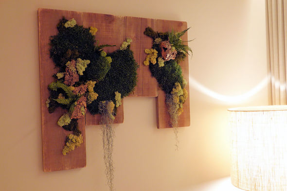 ���O�W���A���[�J�[�h Black Diamond