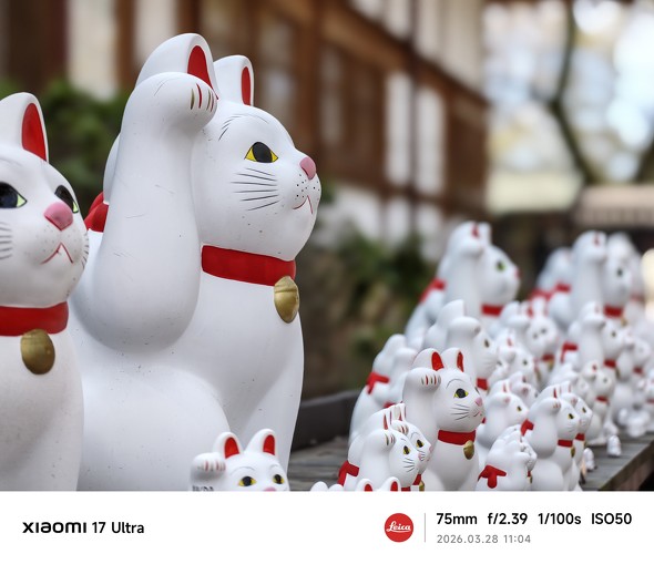 �����L�̊F����