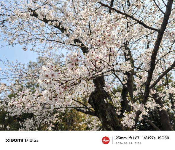 �\���C���V�m