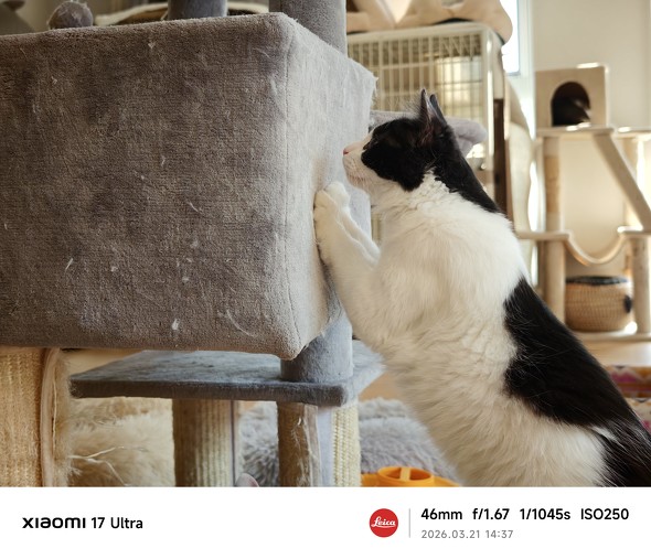 ���[�V�����L���v�`���[