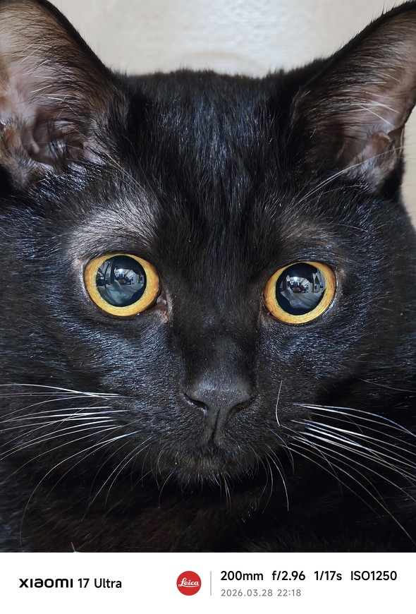 �M�ґ�̍��l�R