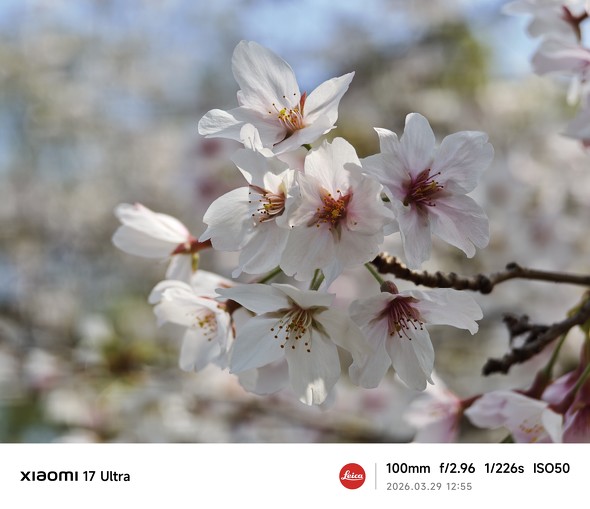 �\���C���V�m